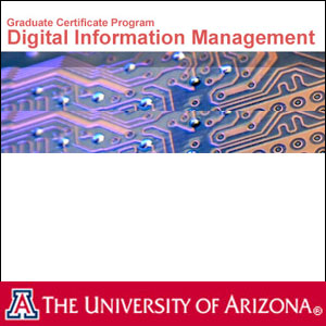 SIRLS Digital Information Management (DigIn)